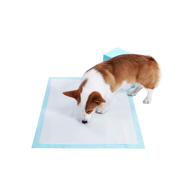 Segenn's Puppy Training en Hygiëne Pads - Zindelijkheidstraining - Hondentoilet 60 x 90 cm - 100 stuks