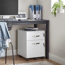 Segenn's ladeblok - ladeblok op wieltjes - Afsluitbaar - Verrijdbare container 2 sloten - Archiefkast met 2 lades en 5 wielen - Verstelbare Hangmap - wit