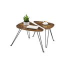 Segenn's Bijzettafels - Tafels - Salontafels - set van 2 bijzettafels - voor woonkamer - eetkamer - slaapkamer - industrieel design - Vintage Bruin-Zwart